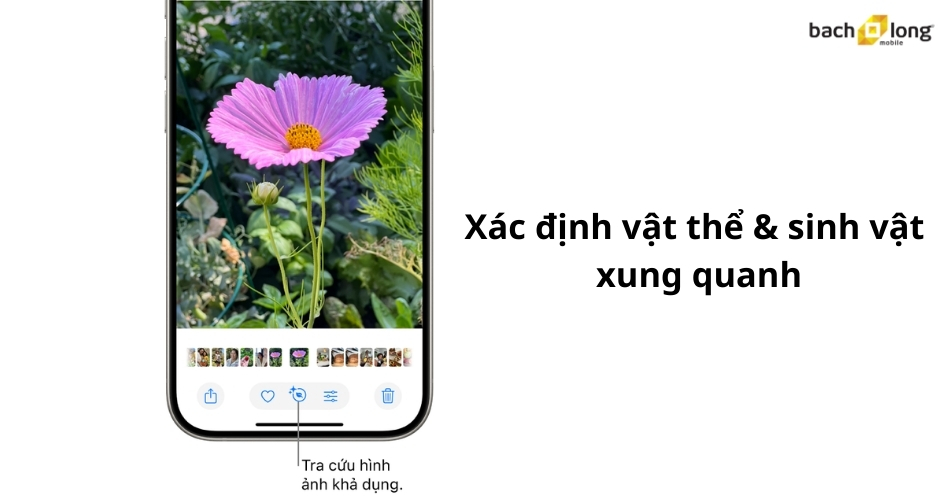 Xác định vật thể và sinh vật xung quanh